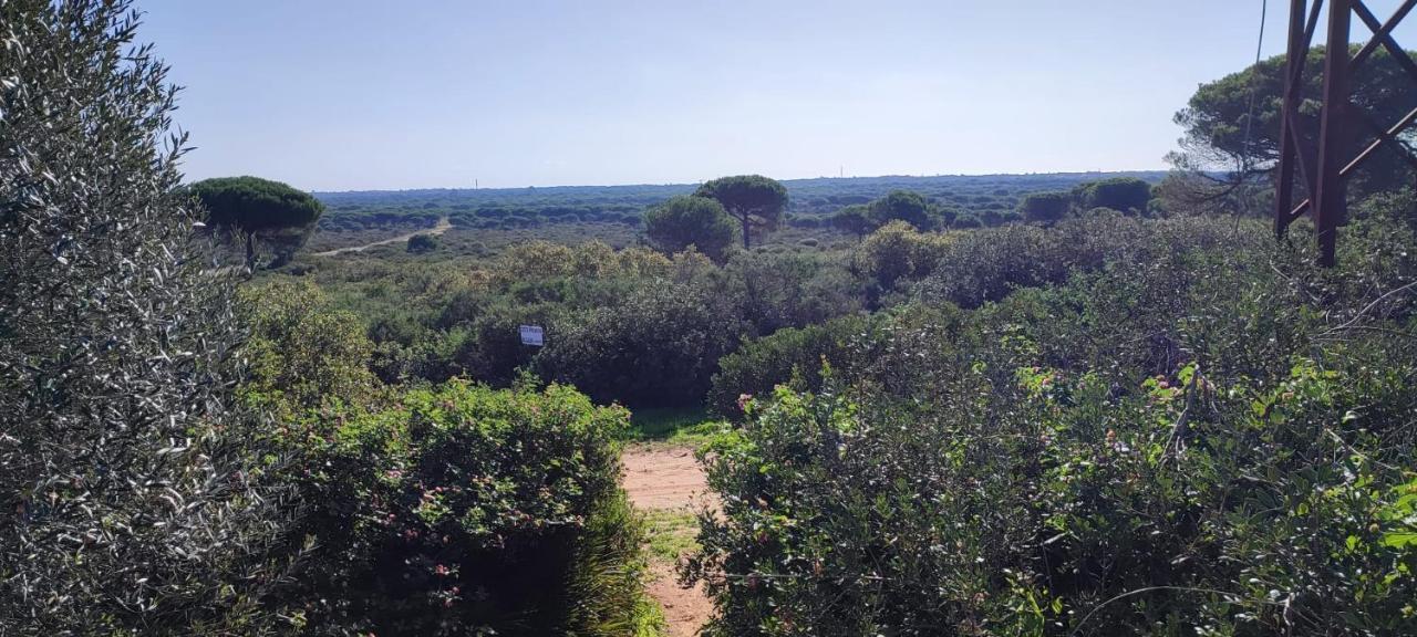 Villa Casa En Loma Sancti Petri A 900 M De La Playa De La Barrosa Chiclana de la Frontera Esterno foto